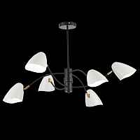 Sale Светильник потолочный Evoluce Satta SLE103602-06 - цена и фото