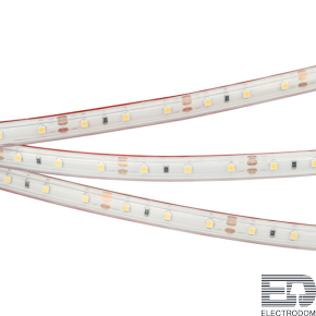 Светодиодная лента герметичная RTW-PS-A60-10mm 12V Warm2700 (4.8 W/m, IP67, 2835, 5m) Arlight - цена и фото