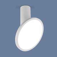 Накладной светодиодный светильник Elektrostandard DLS029 12W 4200K белый матовый - цена и фото