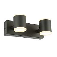 Светильник настенный ST-Luce FORMOLLA SL1597.401.02 - цена и фото