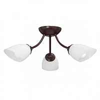 Потолочная люстра Vitaluce V3404/3PL - цена и фото Потолочная люстра Vitaluce V3404/3PL - цена и фото