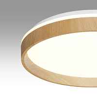 Потолочный светодиодный светильник Sonex GARI WOOD 7684/DL - цена и фото