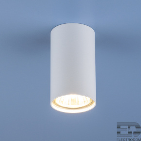 Накладной потолочный светильник Elektrostandart 1081 (5255) GU10 WH белый - цена и фото