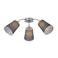 Sale Светильник потолочный EVOLUCE MALEONTE SLE103002-03 - цена и фото Sale Светильник потолочный EVOLUCE MALEONTE SLE103002-03 - цена и фото