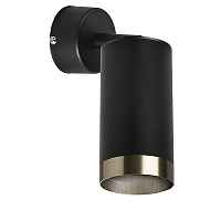 Lightstar Комплект со светильником Rullo RB437431 - цена и фото Lightstar Комплект со светильником Rullo RB437431 - цена и фото