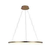 Подвесной светильник Loft IT Ring 10014L - цена и фото Подвесной светильник Loft IT Ring 10014L - цена и фото