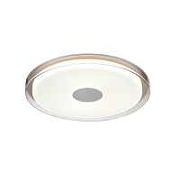 Потолочный светильник Vele Luce Flash VL7214L01 - цена и фото Потолочный светильник Vele Luce Flash VL7214L01 - цена и фото