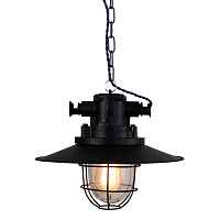 Подвесной светильник Lussole Loft LSP-9896 - цена и фото