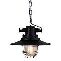 Подвесной светильник Lussole Loft LSP-9896 - цена и фото Подвесной светильник Lussole Loft LSP-9896 - цена и фото