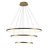 Подвесной светильник Loft IT Ring 10015/3 - цена и фото Подвесной светильник Loft IT Ring 10015/3 - цена и фото