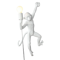 Светильник настенный Aployt Magali APL.309.01.01 - цена и фото