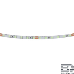 Лента цветного свечения 24V, голубой Lightstar Lightstar 420516 - цена и фото