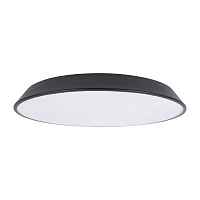 Потолочный светильник Loft IT Brim 10226 Black - цена и фото Потолочный светильник Loft IT Brim 10226 Black - цена и фото