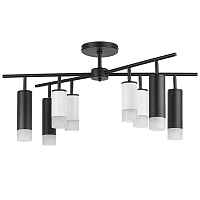 Lightstar Люстра потолочная Rullo LR7283648741 - цена и фото Lightstar Люстра потолочная Rullo LR7283648741 - цена и фото