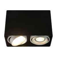 Потолочный светильник Arte Lamp A5655 A5655PL-2BK - цена и фото Потолочный светильник Arte Lamp A5655 A5655PL-2BK - цена и фото
