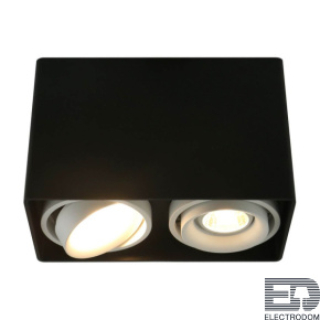 Потолочный светильник Arte Lamp A5655 A5655PL-2BK - цена и фото