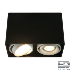 Потолочный светильник Arte Lamp A5655 A5655PL-2BK - цена и фото