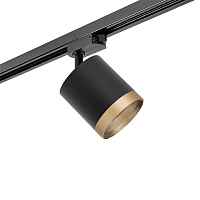 Lightstar Комплект со светильником Rullo R1T348790 - цена и фото Lightstar Комплект со светильником Rullo R1T348790 - цена и фото