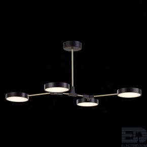 EVOLUCE SLE6004-402-04 Светильник потолочный Черный, Латунь/Черный LED 4*10W - цена и фото