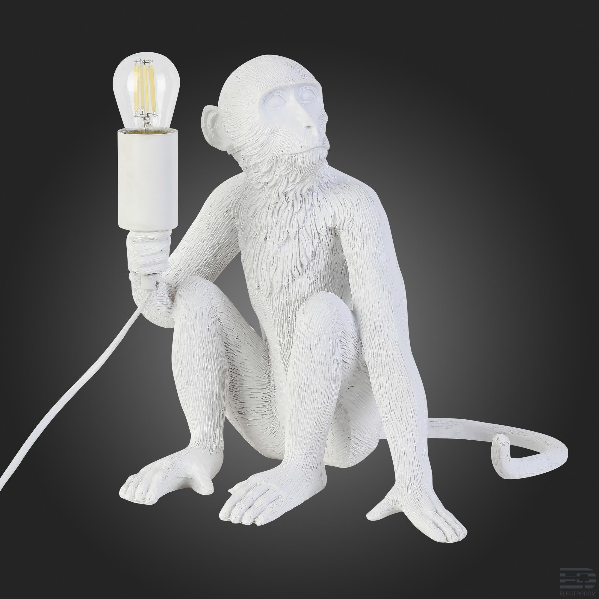 Настольная лампа Evoluce Tenato SLE115104-01 - цена и фото 5