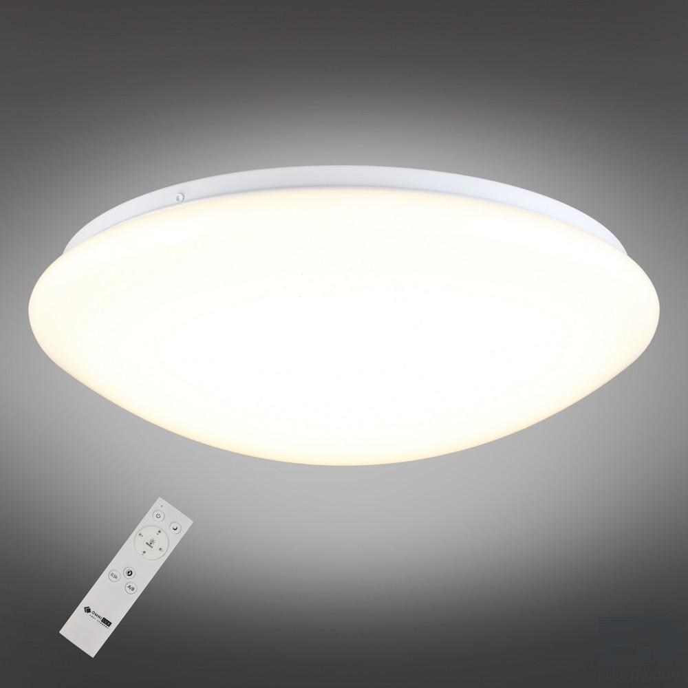 Потолочный светильник Omnilux Berkeley OML-43007-40 - цена и фото 2