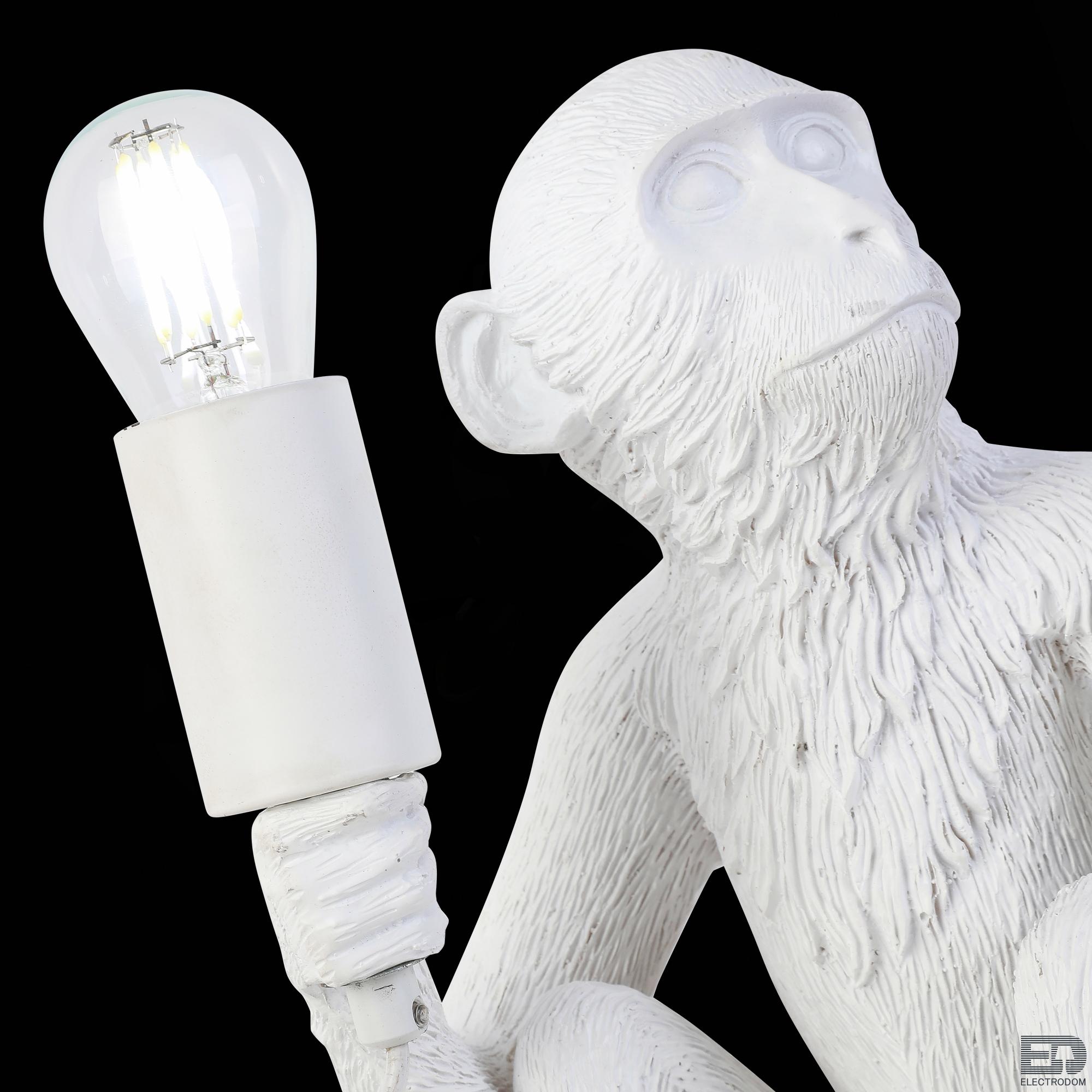 Настольная лампа Evoluce Tenato SLE115104-01 - цена и фото 10