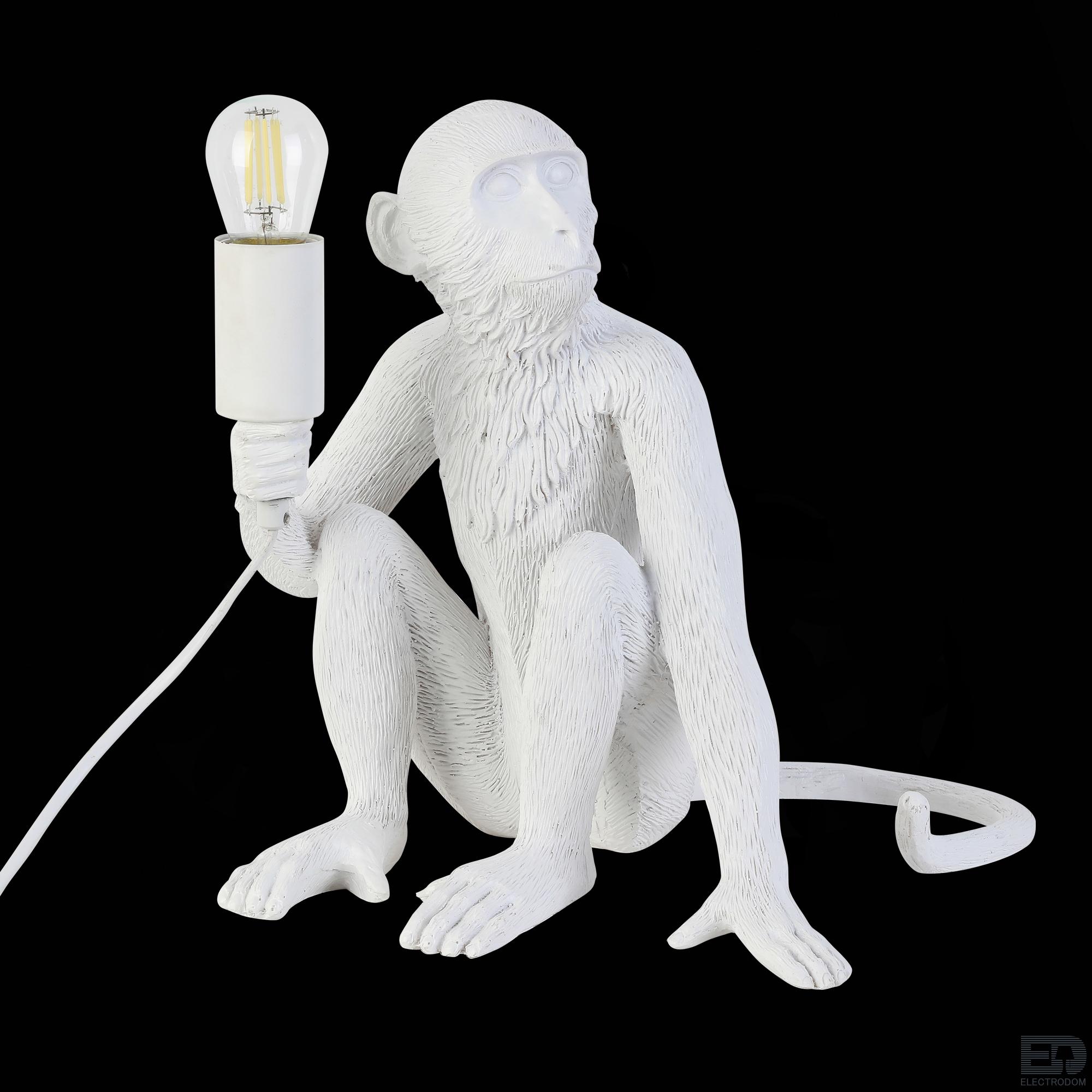 Настольная лампа Evoluce Tenato SLE115104-01 - цена и фото 9
