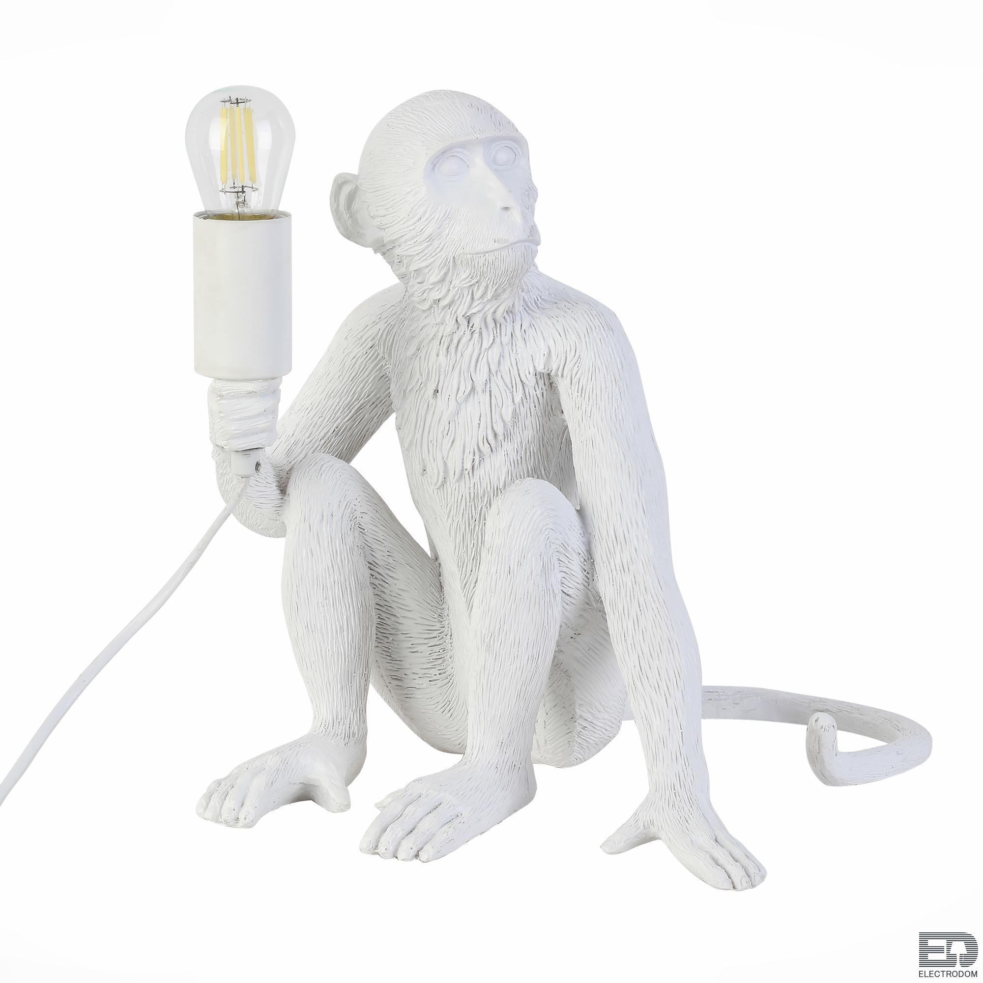 Настольная лампа Evoluce Tenato SLE115104-01 - цена и фото 2