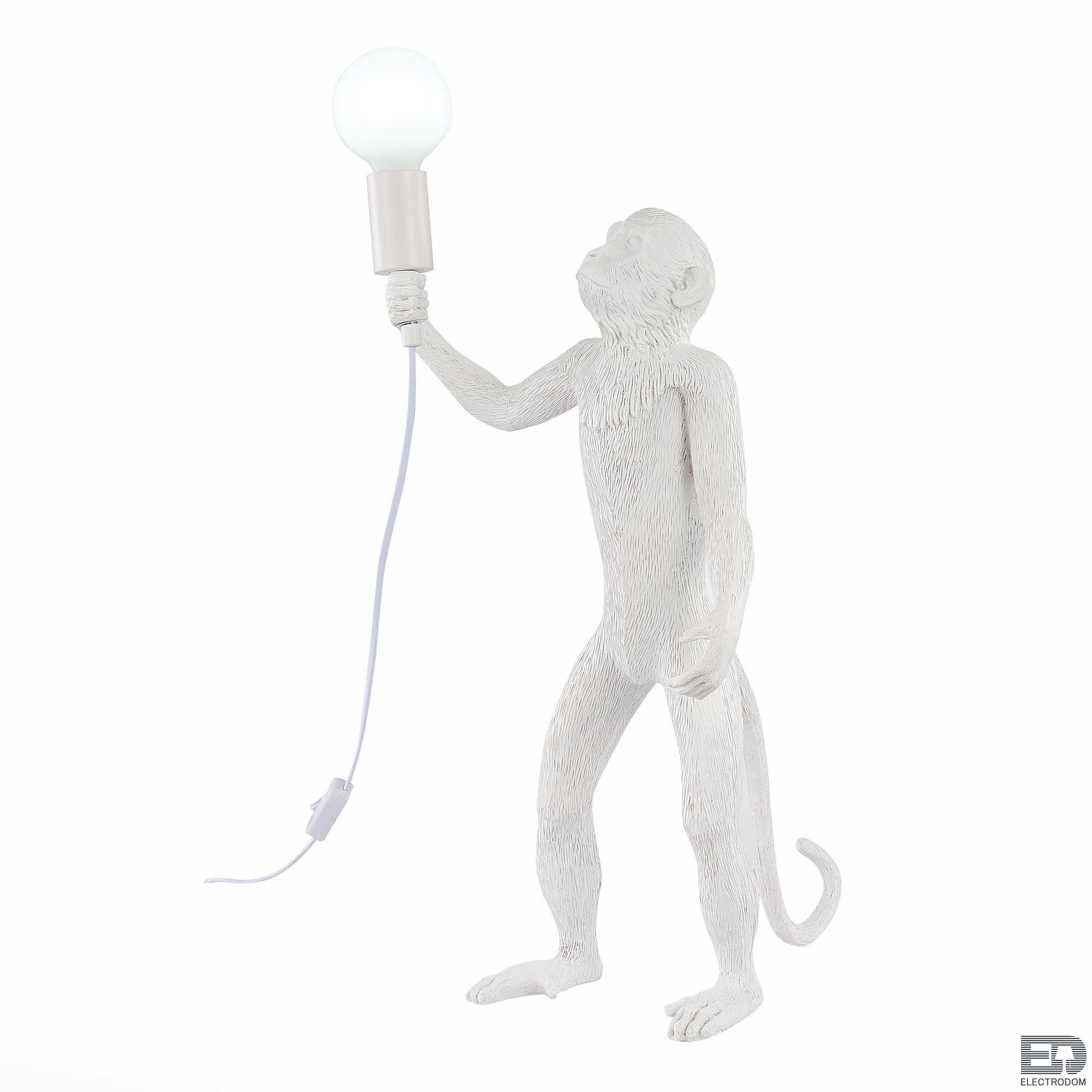 Настольная лампа Evoluce TENATO SLE115114-01 - цена и фото 3