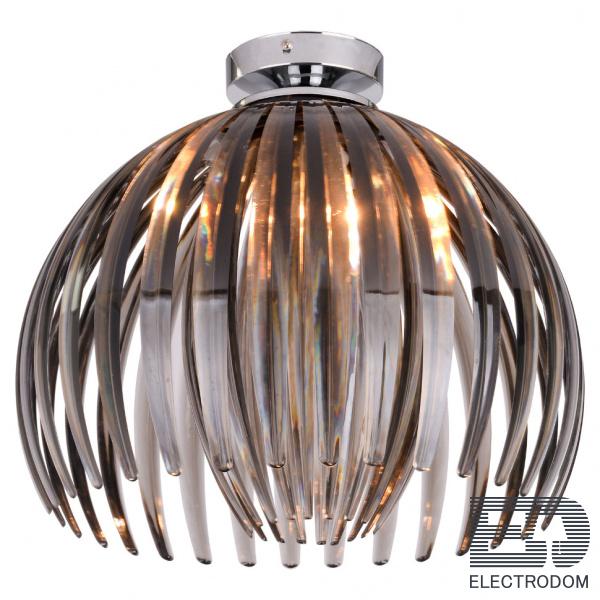 Потолочный светильник Lussole Hockessin LSP-9539 - цена и фото