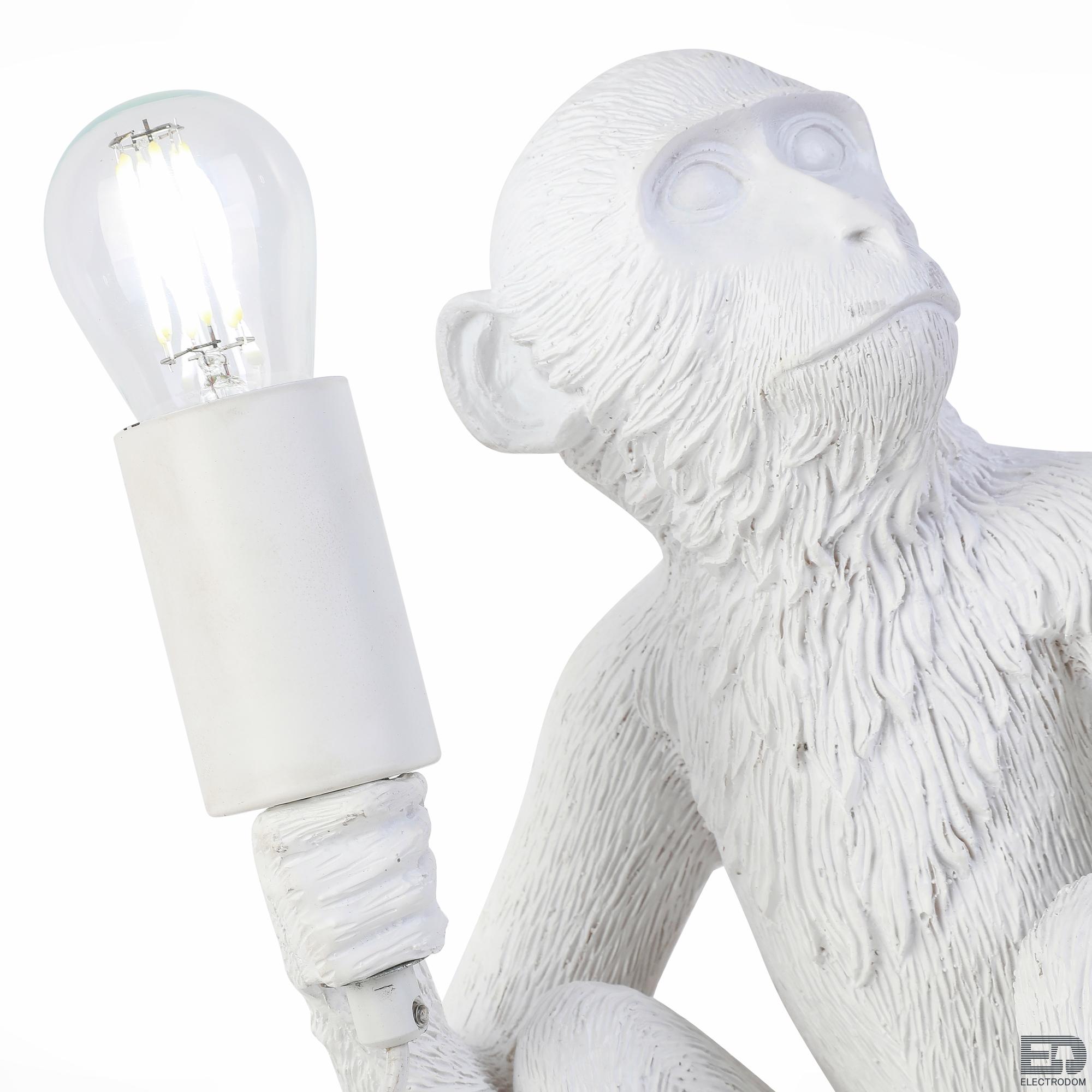 Настольная лампа Evoluce Tenato SLE115104-01 - цена и фото 3