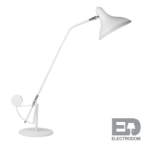 Настольная лампа Lightstar Manti 764906 - цена и фото